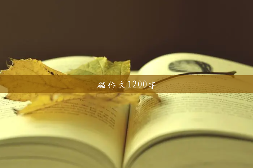 猫作文1200字 猫作文1200字
