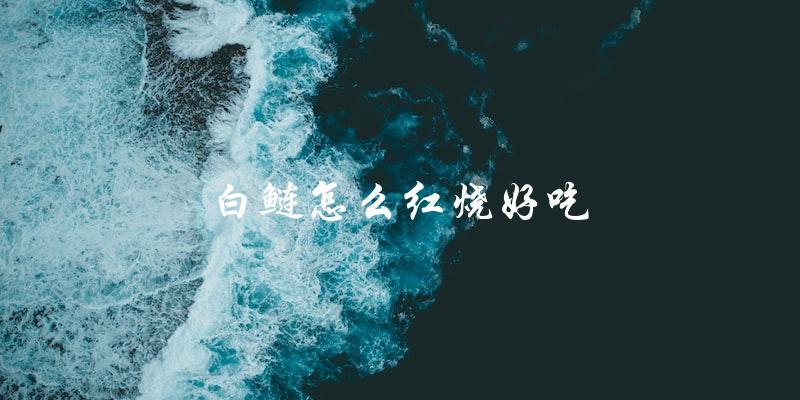 教你如何红烧白鲢,让它变得更加美味! 教你如何红烧白鲢,让它变得更加美味!