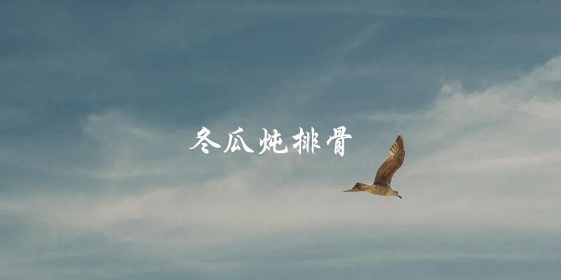 冬瓜炖排骨 冬瓜炖排骨