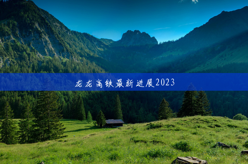 龙龙高铁最新进展2023
