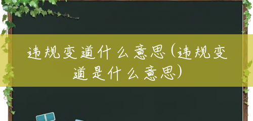 违规变道什么意思(违规变道是什么意思) 违规变道什么意思(违规变道是什么意思)
