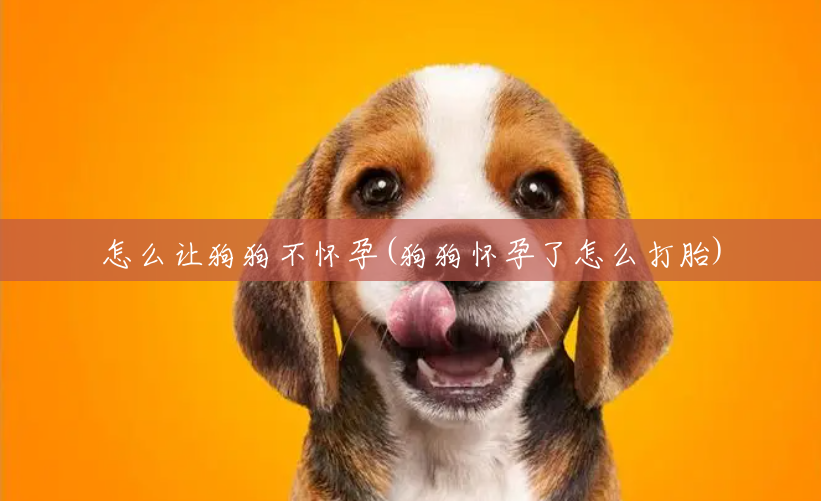 怎么让狗狗不怀孕(狗狗怀孕了怎么打胎) 怎么让狗狗不怀孕(狗狗怀孕了怎么打胎)