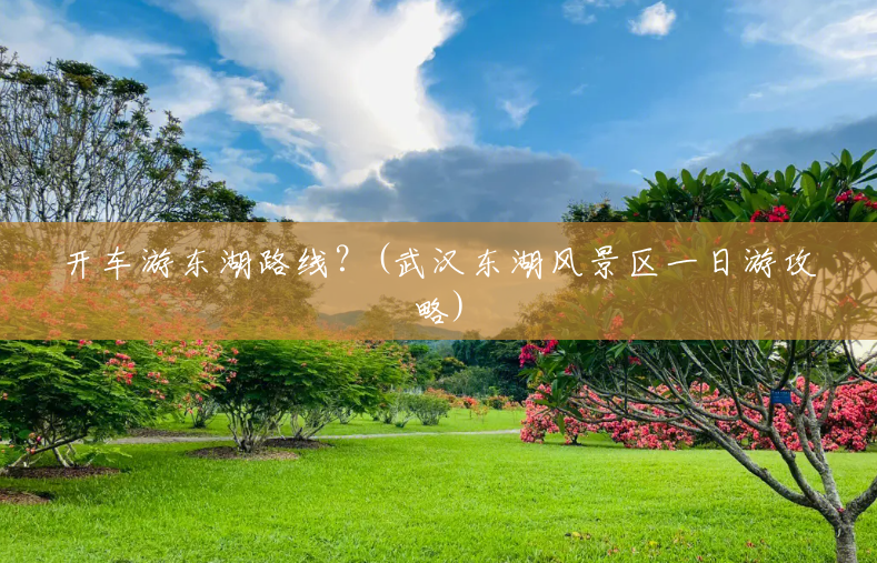 开车游东湖路线？(武汉东湖风景区一日游攻略)