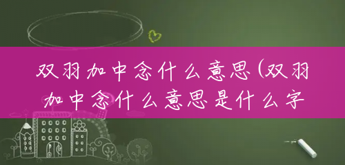 双羽加中念什么意思(双羽加中念什么意思是什么字) 双羽加中念什么意思(双羽加中念什么意思是什么字)