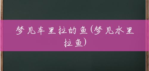 梦见车里拉的鱼(梦见水里拉鱼) 梦见车里拉的鱼(梦见水里拉鱼)