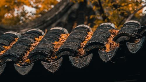 美好句子说说心情短语励志