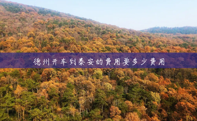 德州开车到泰安的费用要多少费用 德州开车到泰安的费用要多少费用