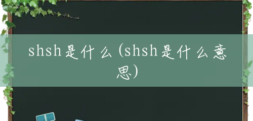 shsh是什么(shsh是什么意思)
