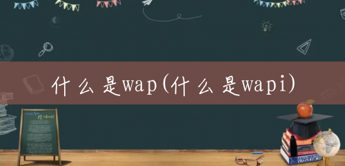 什么是wap(什么是wapi)