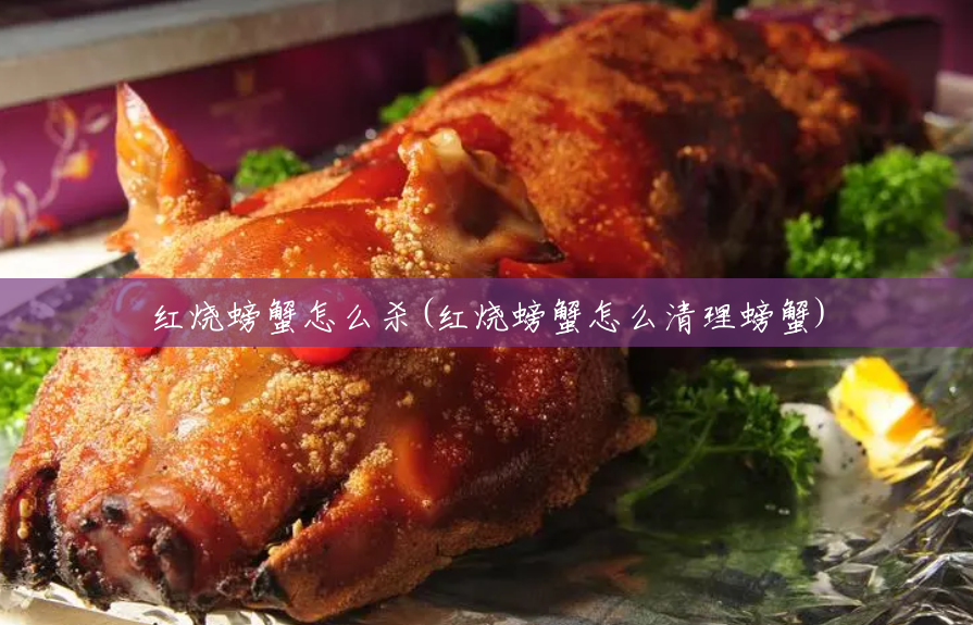 红烧螃蟹怎么杀(红烧螃蟹怎么清理螃蟹) 红烧螃蟹怎么杀(红烧螃蟹怎么清理螃蟹)