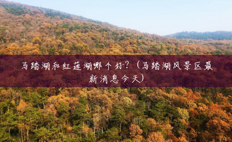 马踏湖和红莲湖哪个好?(马踏湖风景区最新消息今天) 马踏湖和红莲湖哪个好?(马踏湖风景区最新消息今天)
