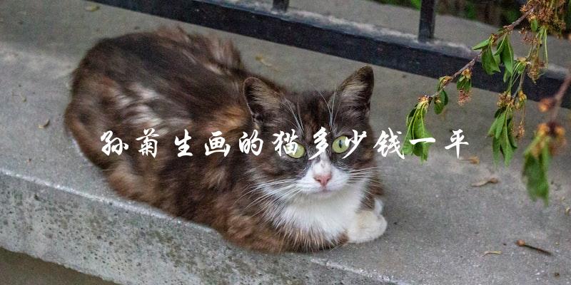 孙菊生画的猫每平方米多少钱？