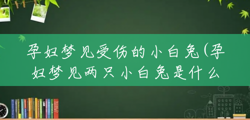 孕妇梦见受伤的小白兔(孕妇梦见两只小白兔是什么意思) 孕妇梦见受伤的小白兔(孕妇梦见两只小白兔是什么意思)