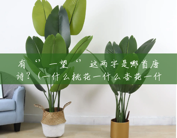 有‘’一望‘’这两字是哪首唐诗?(一什么桃花一什么杏花一什么梨花) 有‘’一望‘’这两字是哪首唐诗?(一什么桃花一什么杏花一什么梨花)