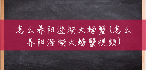 怎么养阳澄湖大螃蟹(怎么养阳澄湖大螃蟹视频) 怎么养阳澄湖大螃蟹(怎么养阳澄湖大螃蟹视频)