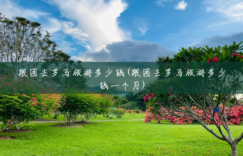 跟团去罗马旅游多少钱(跟团去罗马旅游多少钱一个月) 跟团去罗马旅游多少钱(跟团去罗马旅游多少钱一个月)