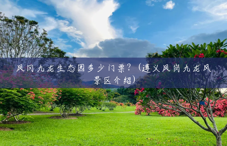 凤冈九龙生态园多少门票？(遵义凤岗九龙风景区介绍)