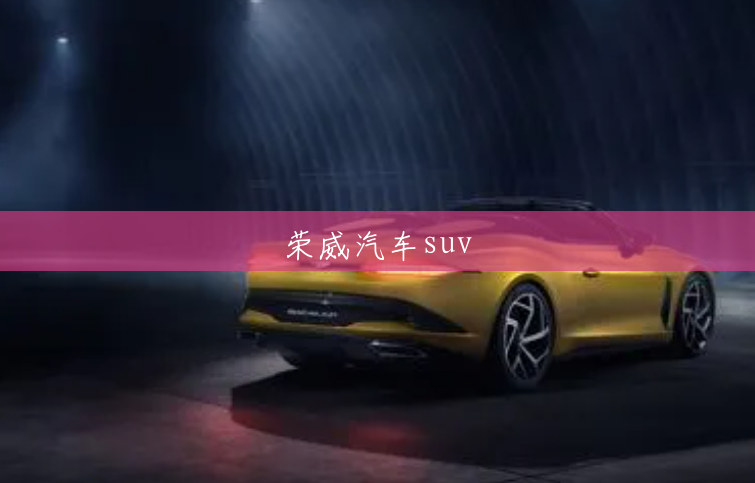 荣威汽车suv 荣威汽车suv