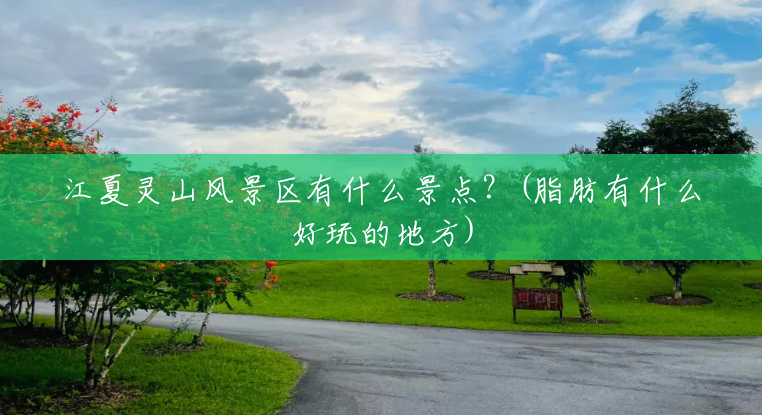 江夏灵山风景区有什么景点？(脂肪有什么好玩的地方)