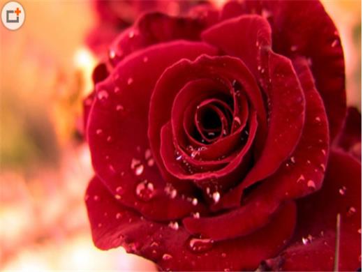 高考朋友圈祝福语跑车