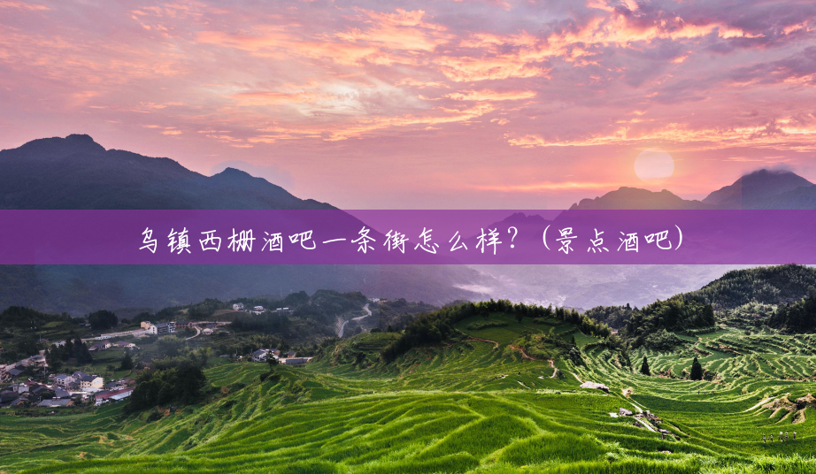 乌镇西栅酒吧一条街怎么样？(景点酒吧)