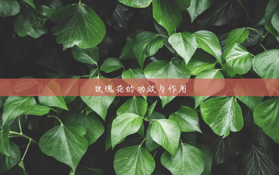玫瑰花的功效与作用 玫瑰花的功效与作用
