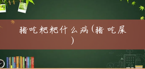 猪吃粑粑什么病(猪 吃屎) 猪吃粑粑什么病(猪 吃屎)