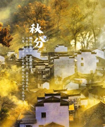 表示母爱伟大的句子