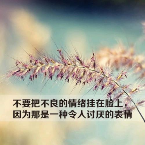 微信感人的父亲节祝福语内容