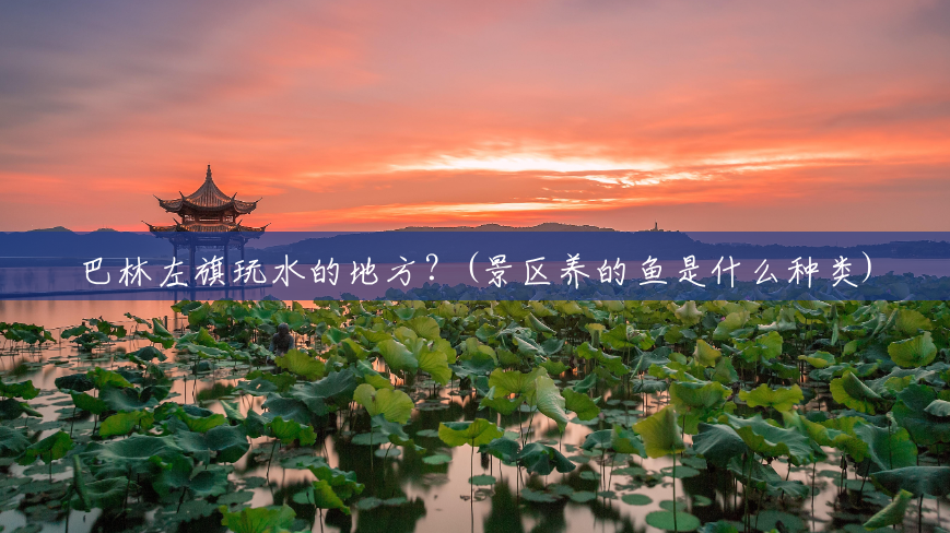 巴林左旗玩水的地方?(景区养的鱼是什么种类) 巴林左旗玩水的地方?(景区养的鱼是什么种类)