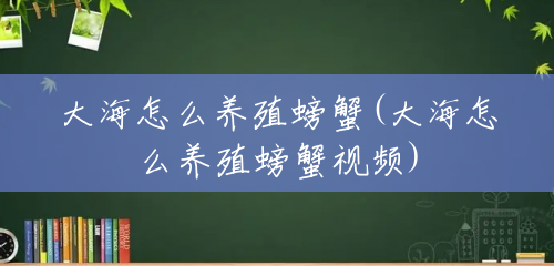 大海怎么养殖螃蟹(大海怎么养殖螃蟹视频)
