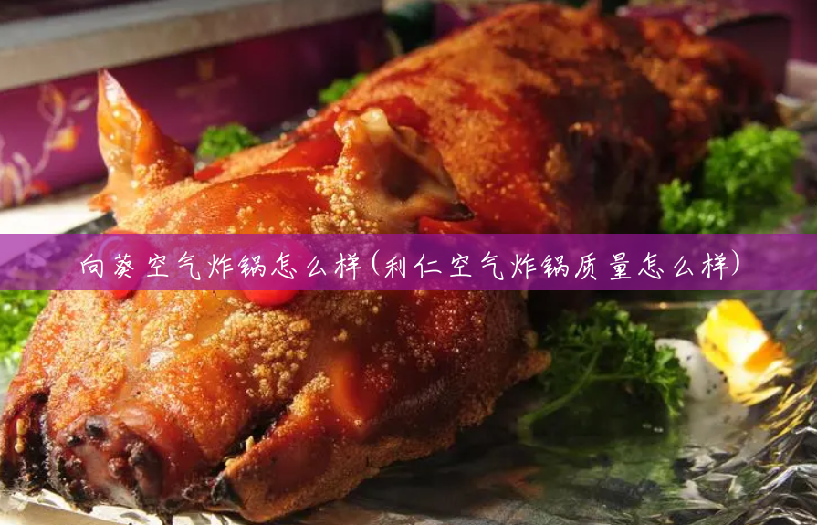 向葵空气炸锅怎么样(利仁空气炸锅质量怎么样) 向葵空气炸锅怎么样(利仁空气炸锅质量怎么样)
