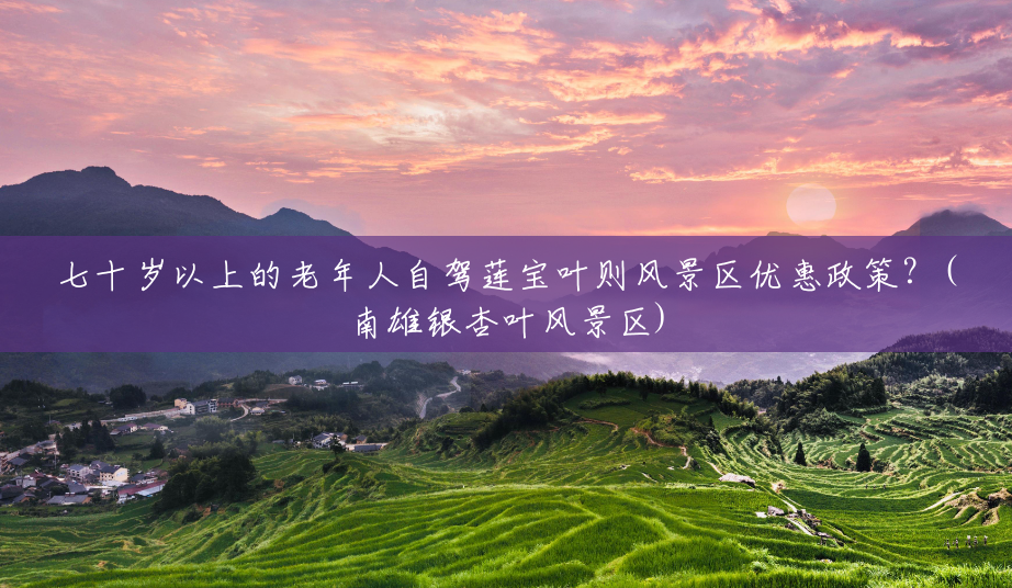 七十岁以上的老年人自驾莲宝叶则风景区优惠政策?(南雄银杏叶风景区) 七十岁以上的老年人自驾莲宝叶则风景区优惠政策?(南雄银杏叶风景区)