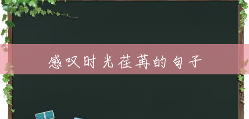 感叹时光荏苒的句子 感叹时光荏苒的句子