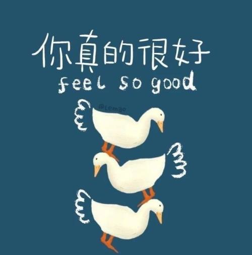 致闺蜜的话