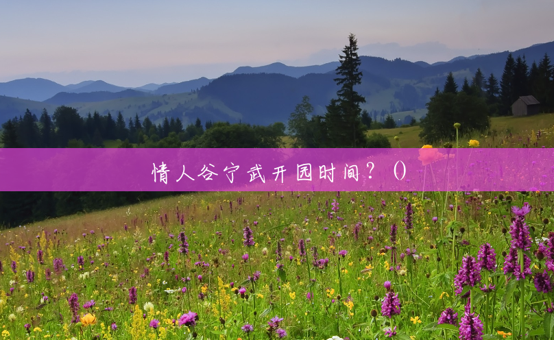 情人谷宁武开园时间？()