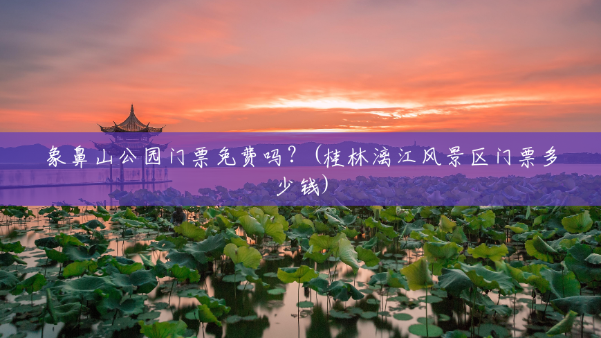象鼻山公园门票免费吗？(桂林漓江风景区门票多少钱)