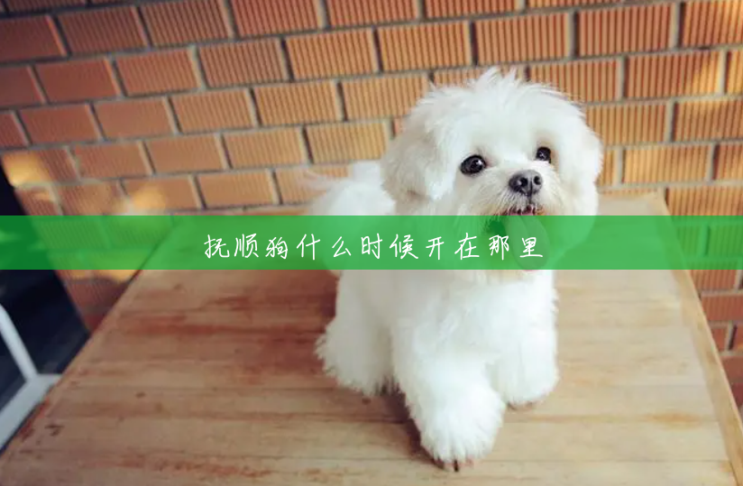 抚顺狗什么时候开在那里 抚顺狗什么时候开在那里