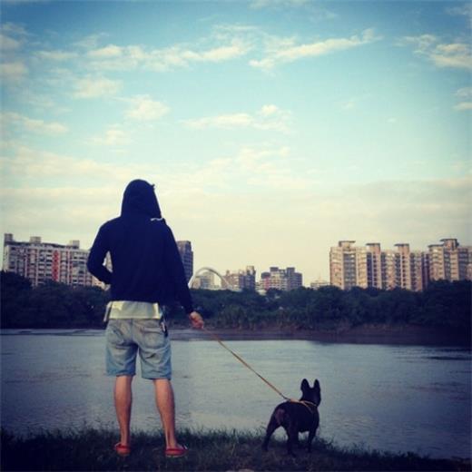 感恩老师的付出的句子