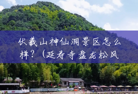 伏羲山神仙洞景区怎么样?(延寿寺盘龙松风景区) 伏羲山神仙洞景区怎么样?(延寿寺盘龙松风景区)