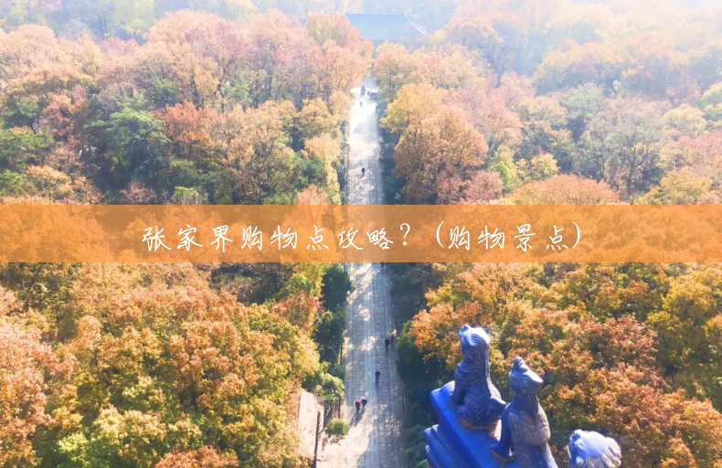 张家界购物点攻略?(购物景点) 张家界购物点攻略?(购物景点)