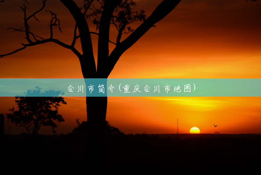 合川市简介(重庆合川市地图) 合川市简介(重庆合川市地图)