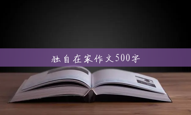 独自在家作文500字