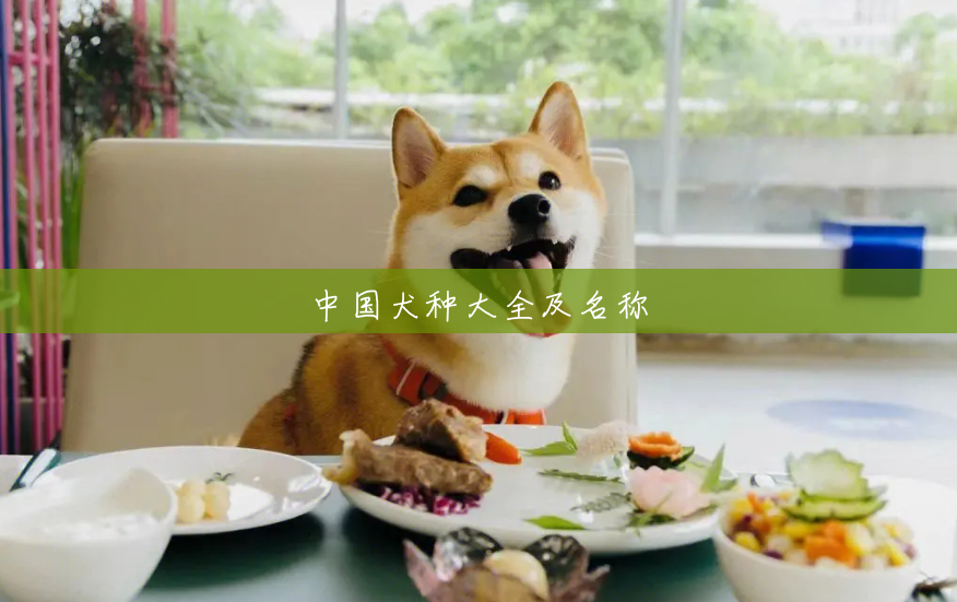 中国犬种大全及名称 中国犬种大全及名称