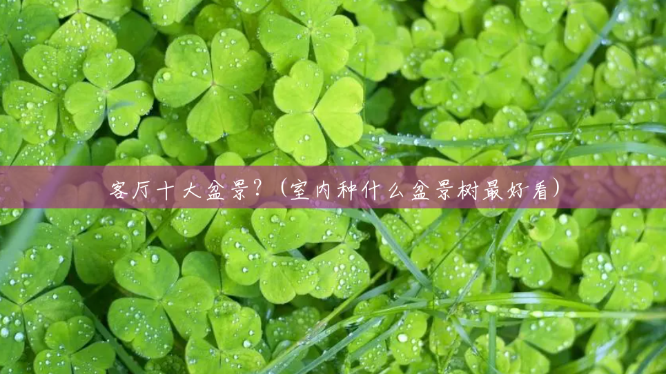 客厅十大盆景?(室内种什么盆景树最好看) 客厅十大盆景?(室内种什么盆景树最好看)