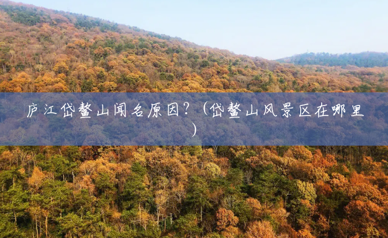 庐江岱鳌山闻名原因?(岱鳌山风景区在哪里) 庐江岱鳌山闻名原因?(岱鳌山风景区在哪里)