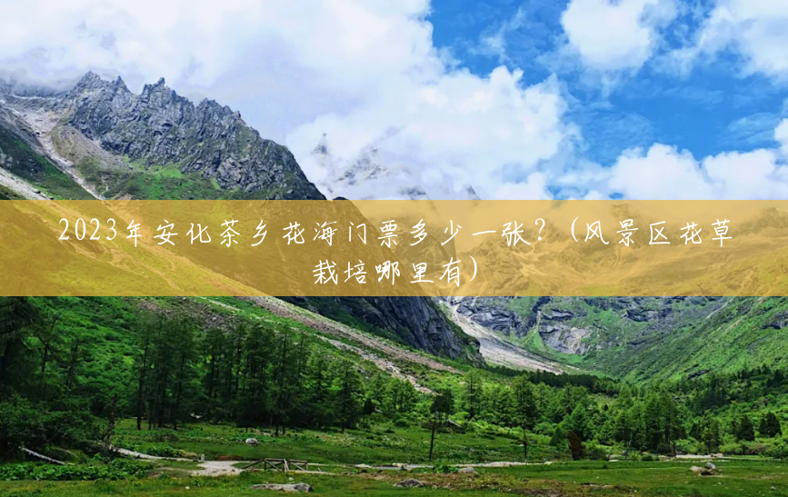2023年安化茶乡花海门票多少一张?(风景区花草栽培哪里有) 2023年安化茶乡花海门票多少一张?(风景区花草栽培哪里有)