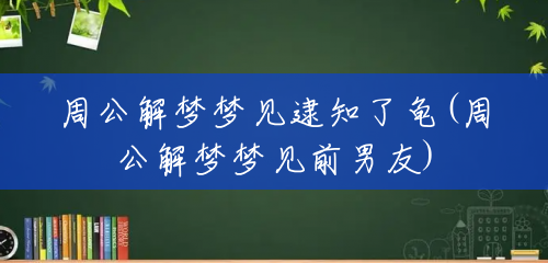 周公解梦梦见逮知了龟(周公解梦梦见前男友) 周公解梦梦见逮知了龟(周公解梦梦见前男友)