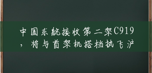 中国东航接收第二架C919,将与首架机搭档执飞沪蓉快线 中国东航接收第二架C919,将与首架机搭档执飞沪蓉快线