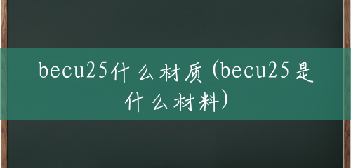 becu25什么材质(becu25是什么材料)